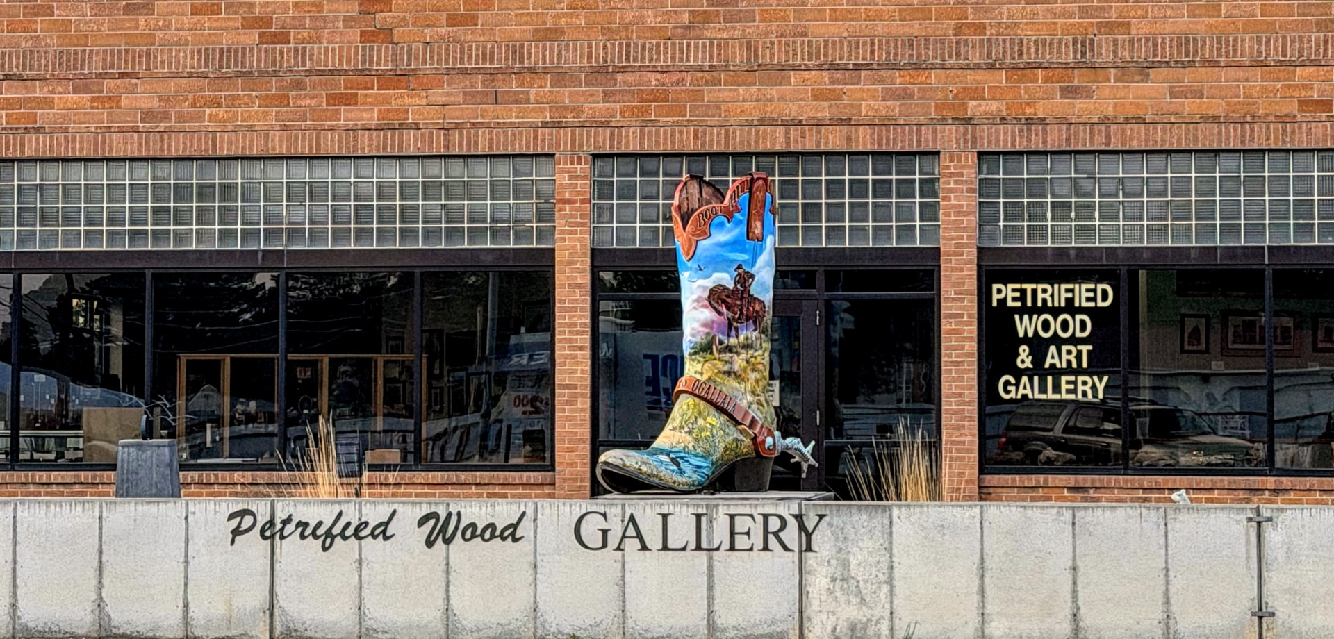 Petrified Wood Gallery