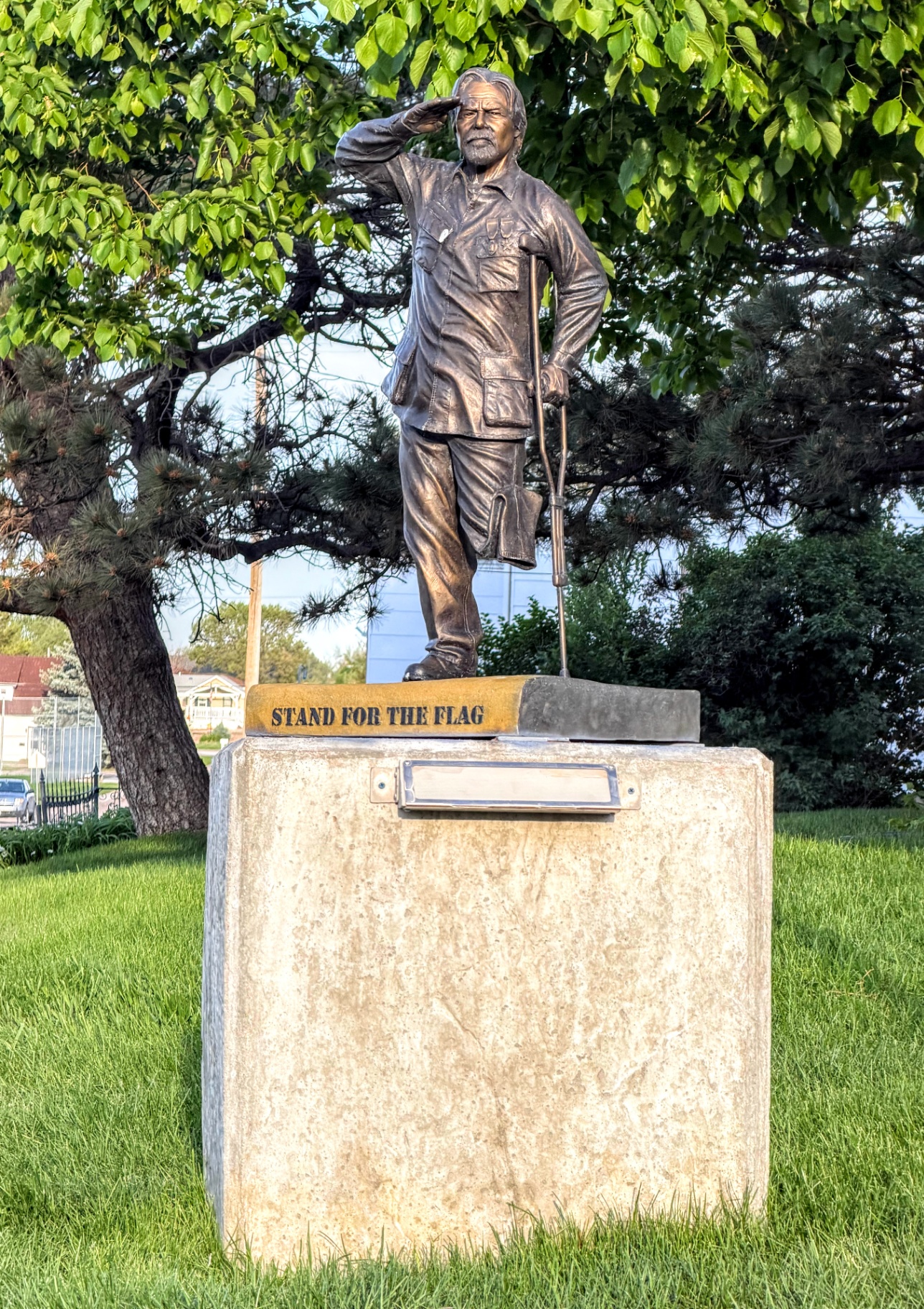Stand for the Flag — Veterans Memorial